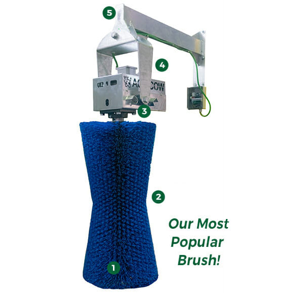 BlissBrush Max