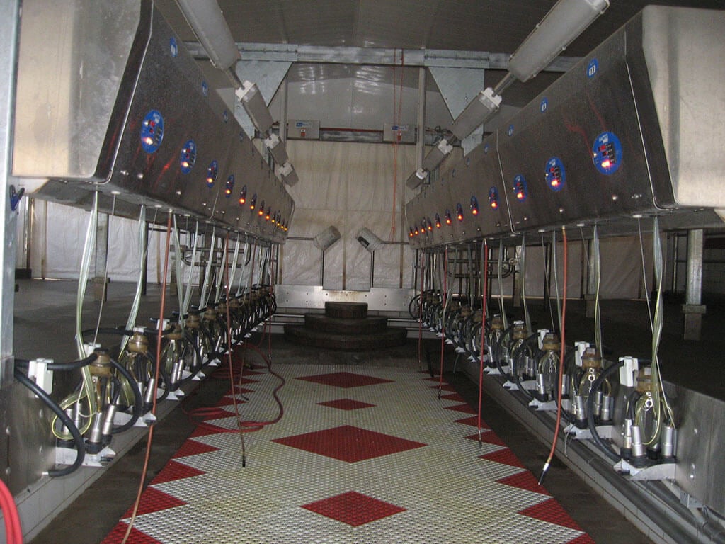 Ocel Parlor Project