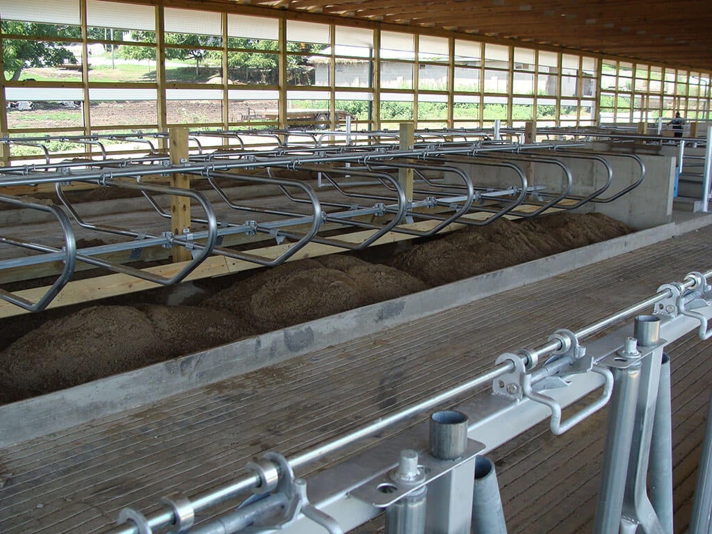 Rhodes Freestall Barn Project