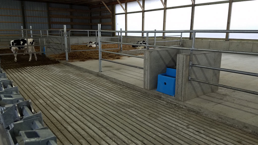 Whitman Calf Barn Project