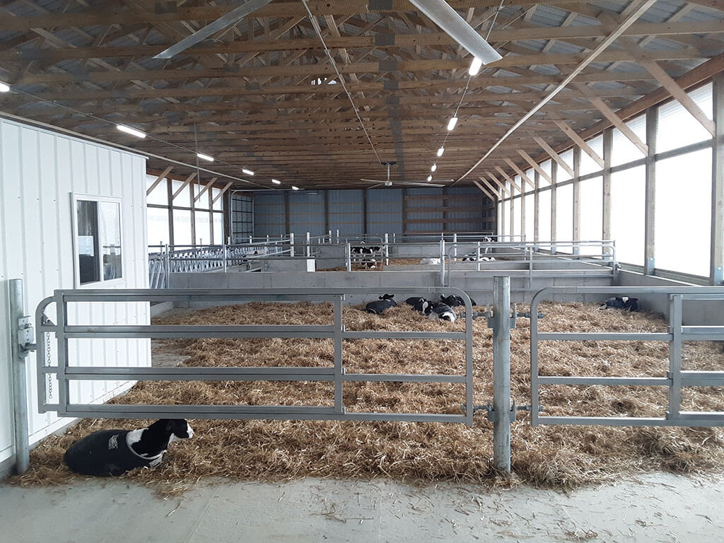 Whitman Calf Barn Project