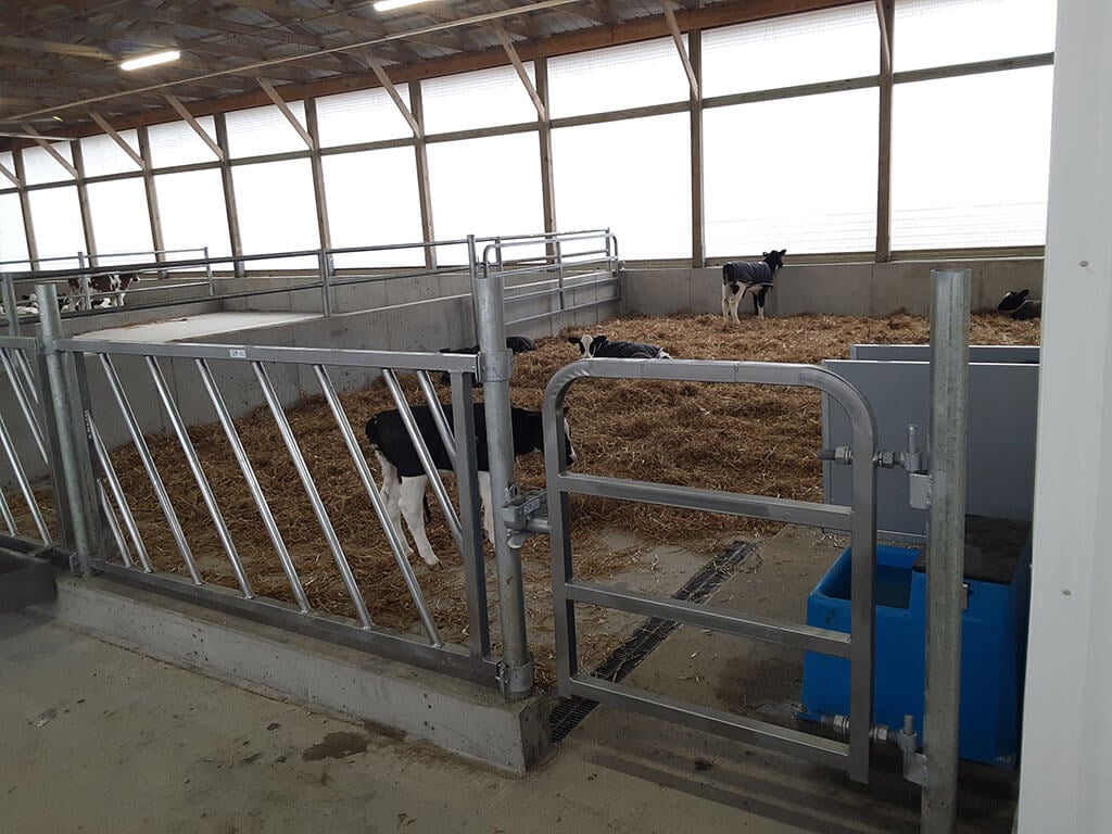 Whitman Calf Barn Project