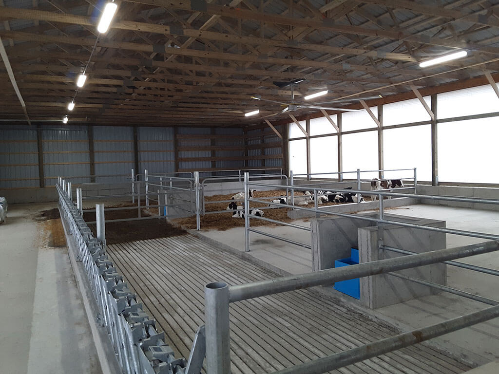 Whitman Calf Barn Project