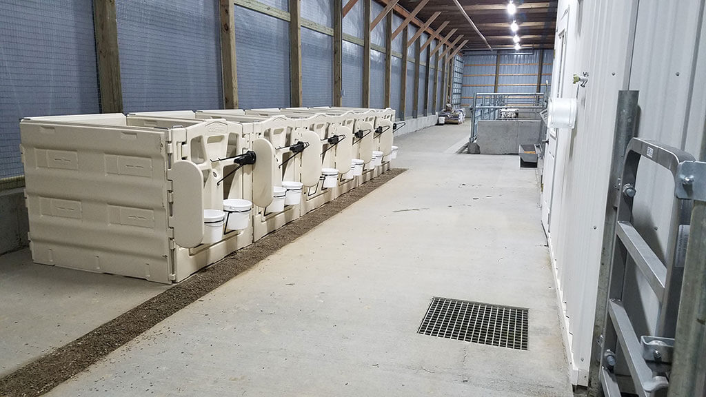 Whitman Calf Barn Project