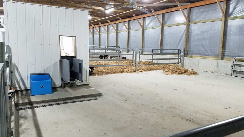 Whitman Calf Barn Project
