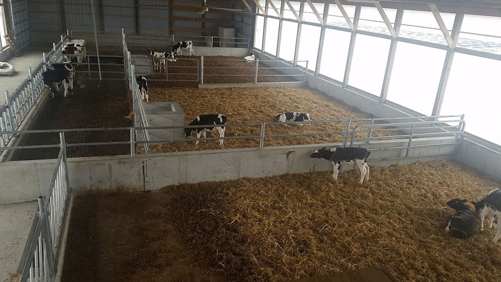 Whitman Calf Barn Project