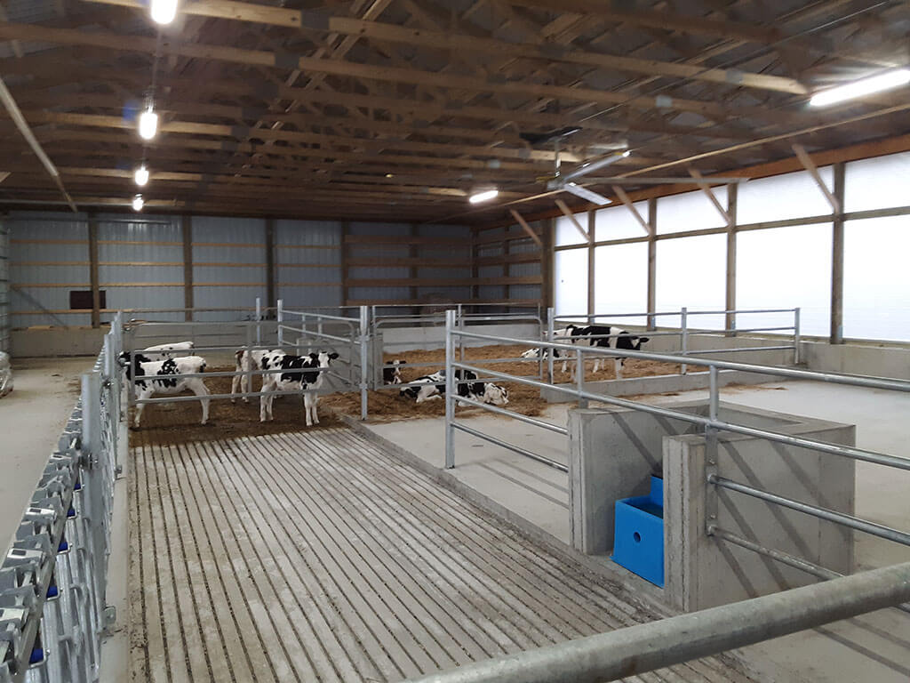 Whitman Calf Barn Project