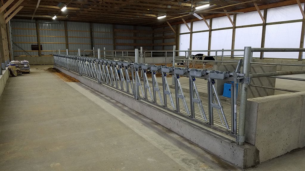 Whitman Calf Barn Project