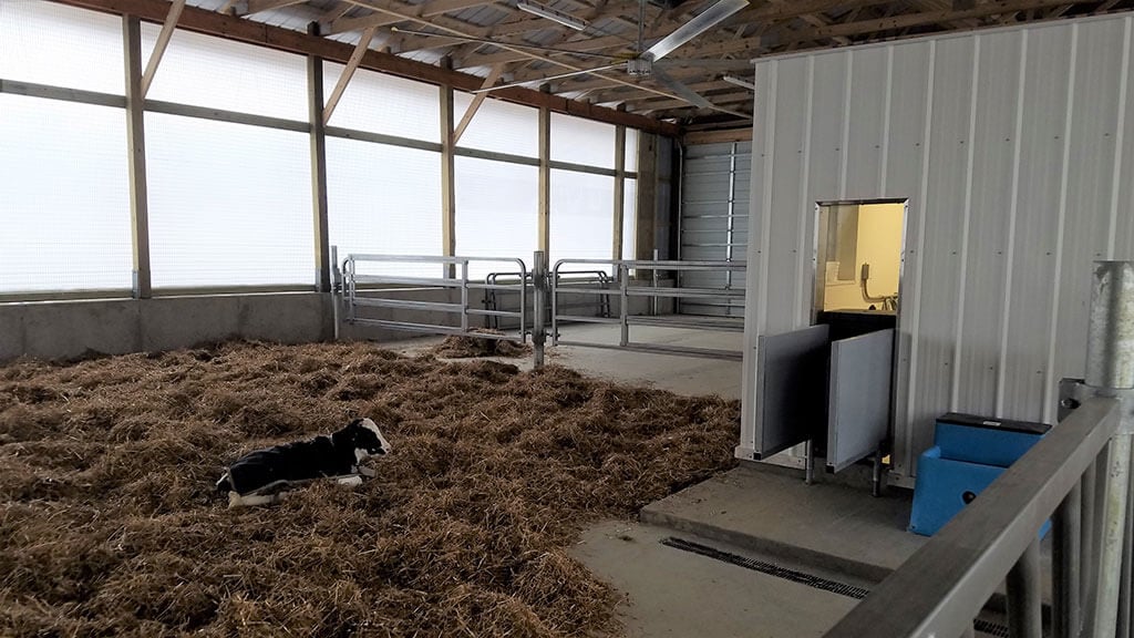 Whitman Calf Barn Project