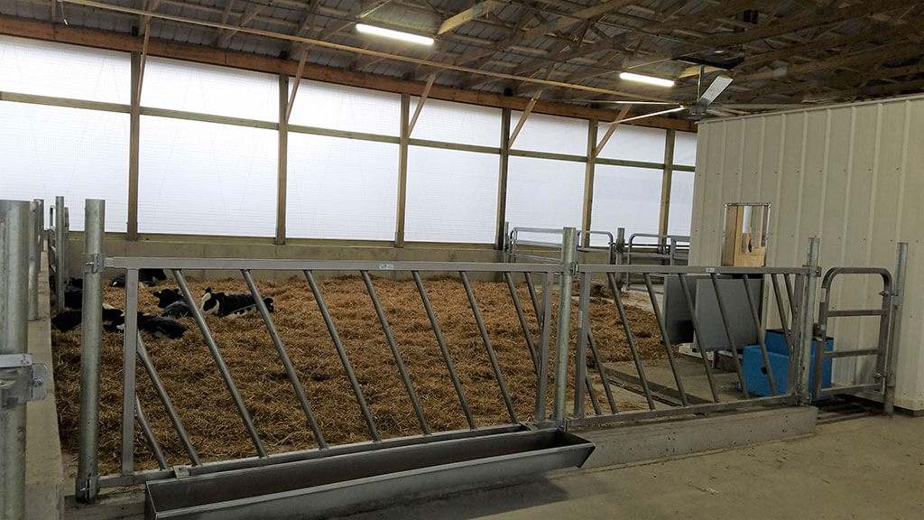 Whitman Calf Barn Project