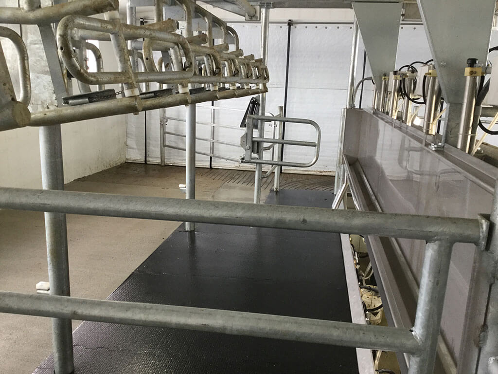 Jay Witmer Parlor Project